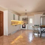 Dina *